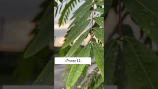 iPhone 12 VS SONY ALPHA a6000 |  COMPARISON |  TEST