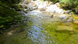 尾白川渓谷 尾白グリーン。（山梨県北杜市）OJIRA CANYON.