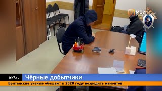 В Красноярске задержали миллионера Скрипальщикова за хищение земельных пород на два миллиарда