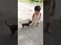 कुत्ता बच्चा 🥰 china cute baby whatsapp status 😜😜❤❤ shorts viralshorts tranding cutebaby viral