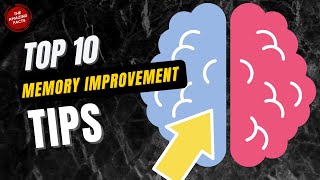 Top Ten Memory Improvement Tips