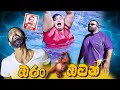 Oran Otan (ඔරං ඔටං) - Nana - නානා