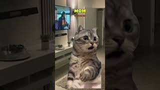 Mom Asks Son A Question About Texting π
(CAT VERSIONπ) @lukedavidson81 #shorts