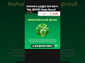 바이타피아 브로콜리 새싹 파우더 100g 설포라판 vitapia broccoli