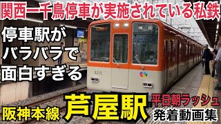 それぞれ停車駅が違う優等種別が次々と入線！阪神本線 芦屋駅 平日朝ラッシュ発着動画集【これが関西一千鳥停車が実施されている私鉄だ！】