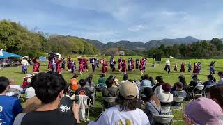 踊り陣 叶和 ［川棚菜の花よさこい 2024.04.07(日)]