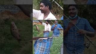 Mangrove red snapper fishing kerala | ചെമ്പല്ലി മീൻ പിടുത്തം