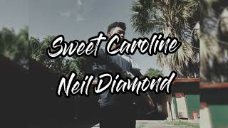 Sweet Caroline - Neil Diamond (Classic Diamonds/Visualizer) w/Lyrics