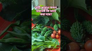 মাটি ছাড়াও ফসল হারভেষ্ট করা যায়।। #viralshorts #shorts #foryou #gardening #এসোবাগানকরি