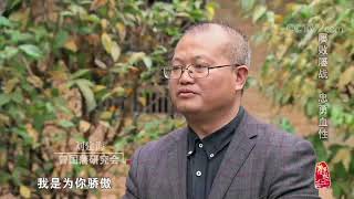 [中华优秀传统文化]屡败屡战 忠勇血性| CCTV中文国际