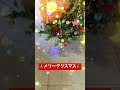 🎄メリークリスマス🎄飾り付完了🎅みんなの元にサンタさんがきますように✨