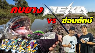 กบยางเมฆา ล่าช่อนใหญ่ส่งท้ายปี กัดโหดๆกัดมันๆ เหยื่อน้าตุ้มThaiStreetFishing