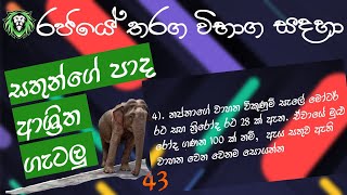 IQ | සතුන්ගේ පාද ආශ්‍රිත ගැටලු | තත්පර 20 න් හිතින් හදමු | government exam | gramaniladari exam