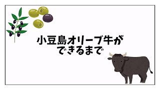 小豆島オリーブ牛ができるまで 〜町内小中学校向けのオリーブ牛食育動画〜