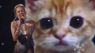 stan twitter: Miley Cyrus performing with a giant cat