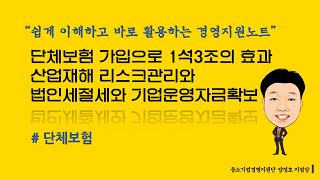 기업과 CEO를 위한 단체보험 쉽게 이해하고 바로 활용하기