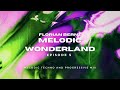 Florian Bernz - Melodic Wonderland - Episode #5 - Melodic Techno / Progressive House