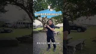 露營千萬不要搭帳在樹的正下方