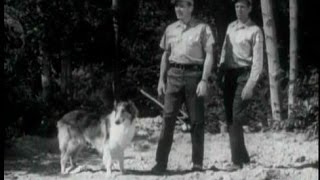 Lassie - Episode #358 - \