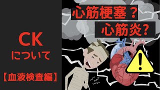 心筋梗塞の危険信号かも！？筋肉のダメージ！？CK(クレアチニンキナーゼ)の超基本【内科専門医解説】