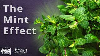 Doctor Reveals 12 Surprising Health Benefits of Mint