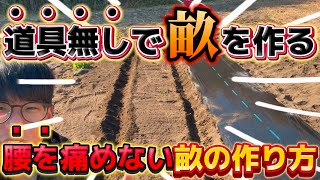 【道具無しで畝を作る】腰を痛めない畝の作り方！誰も知らない裏技を教えちゃいます。