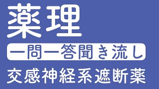 薬理　交感神経系遮断薬　一問一答聞き流し