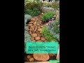 Stepping Stone Ideas For Garden | #shorts #homegarden #gardendecor