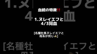 【60秒血統勉強】サドラーズウェルズ編#競馬 #一口馬主 ＃種牡馬#血統#サドラーズウェルズ#ガリレオ#ハイシャパラル#モンジュー#凱旋門賞