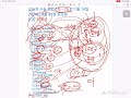 d 75 오늘의 수능점검 수능 망하게 하는 루틴 자의성