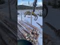 Timber truck loading in Sweden.