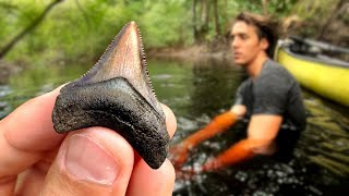 Exploring Florida Swamps for Shark Teeth (With a Canoe) | Florida Fossil Hunting