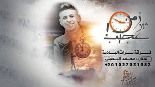 كبير مقام مش بالسن - محمد البصيلي ( حصريا ) 2022