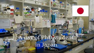 Sehari Kuliah PhD di Jepang! [PhD Student Life in Japan]