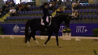 Sydney CDI 2018 - Alexis Hellyer and Bluefields Floren 5th Otto Sport Aus GP CDI 3*