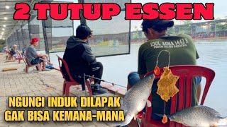 EDAN‼️ Begini Caranya Datangkan Induk & Kunci Induk Dilapak Kita