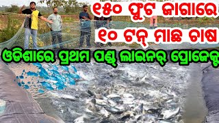 First Time in YouTube Introducing Pond Liner Project Of Pangas Fish Harvest upto 10 tons in Odisha