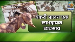 Annadata | अन्नदाता में आज जानिए, बकरी पालन को कैसे बनाएं लाभकारी!