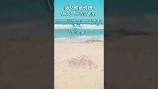 卢台长 | 佛言佛語 【中英】Words of Wisdom「Volume 1.12-13」