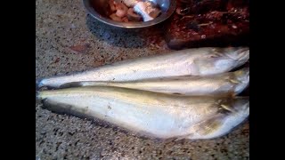 How to cut and clean a wallago Attu fish 2020