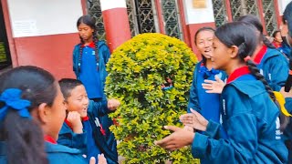 New Tamang Selo Song "Chhingai Supari" | Celebration | See Result 2079 | Dahu School | Part 2