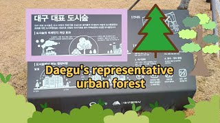 대구대표도시숲(Daegu's representative urban forest)