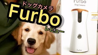 【Furbo】外出先からでも愛犬を見守れる、ドックカメラが届いた！！