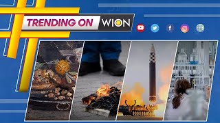 'Quran burning' permitted outside Stockholm's grand mosque by Swedish police | Trending on WION