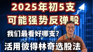 2025可能强势反弹股五支：NKE  ZI  CLF CAR STNE ，最看好哪支呢? 渔：生活中如何使用彼得林奇的选股方法？