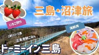 【三島･沼津1泊２日旅】ドーミイン三島♨️/呑み歩き🍺•海鮮丼🐟️•いちご狩り🍓 旅#1