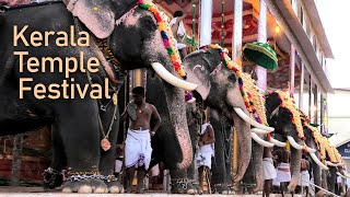 [4K] Elephants in Thirunakkara temple festival