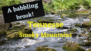 A babbling brook in Tennesse.