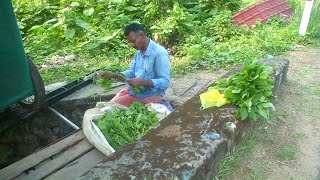 കച്ചവടമില്ല, കരുതലുമില്ല; കർഷകർക്ക് ഇരുട്ടടിയായി ലോക്ക് ഡൗൺ