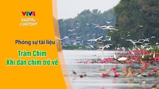 Tràm chim - khi đàn chim trở về| VTV4